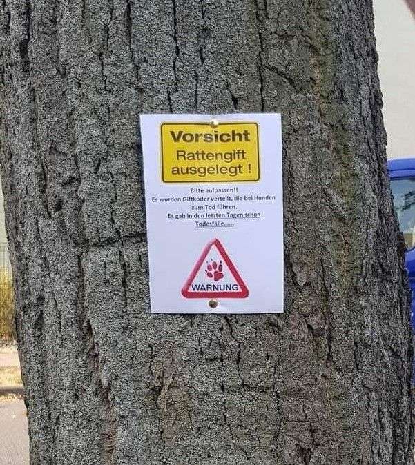 Giftköder-Giftköder (Rattengift)-Profilbild