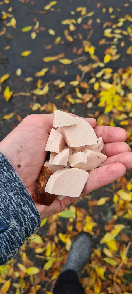 Giftköder-Ausgelegte geschnittene Wurst-Profilbild