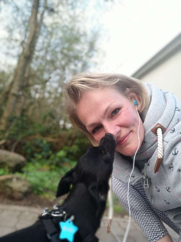 Hundetreffen-Treffen mit kleinen Hunden-Profilbild