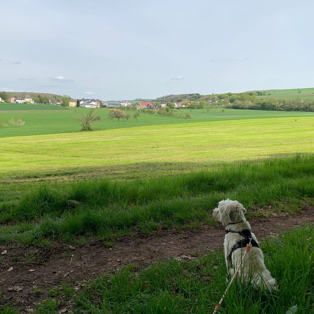 Ersteller:in Spielen und Toben Profilbild