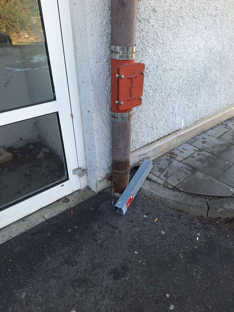 Giftköder-Rattenfalle-Profilbild