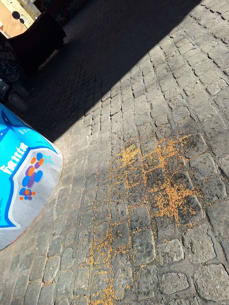 Giftköder-Evtl giftweizen oder???-Profilbild