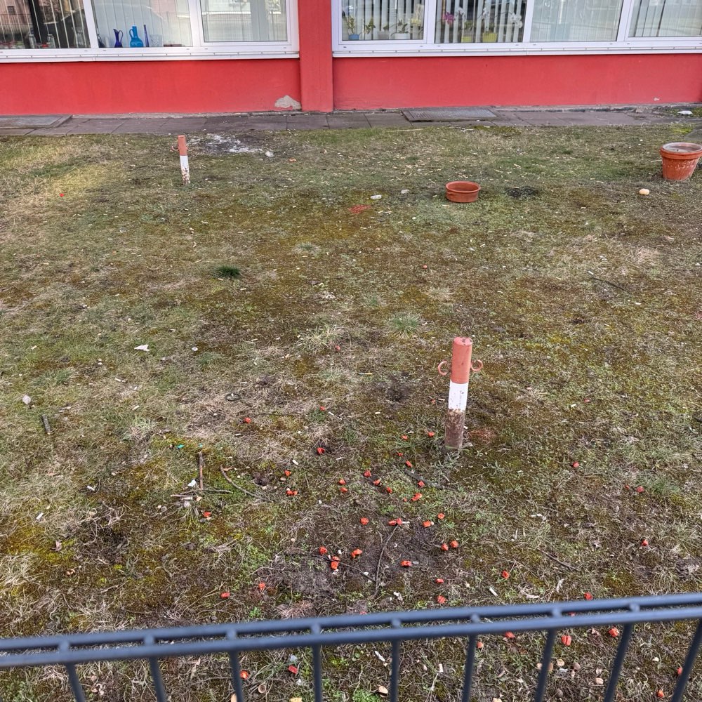 Giftköder-Giftköder-Profilbild