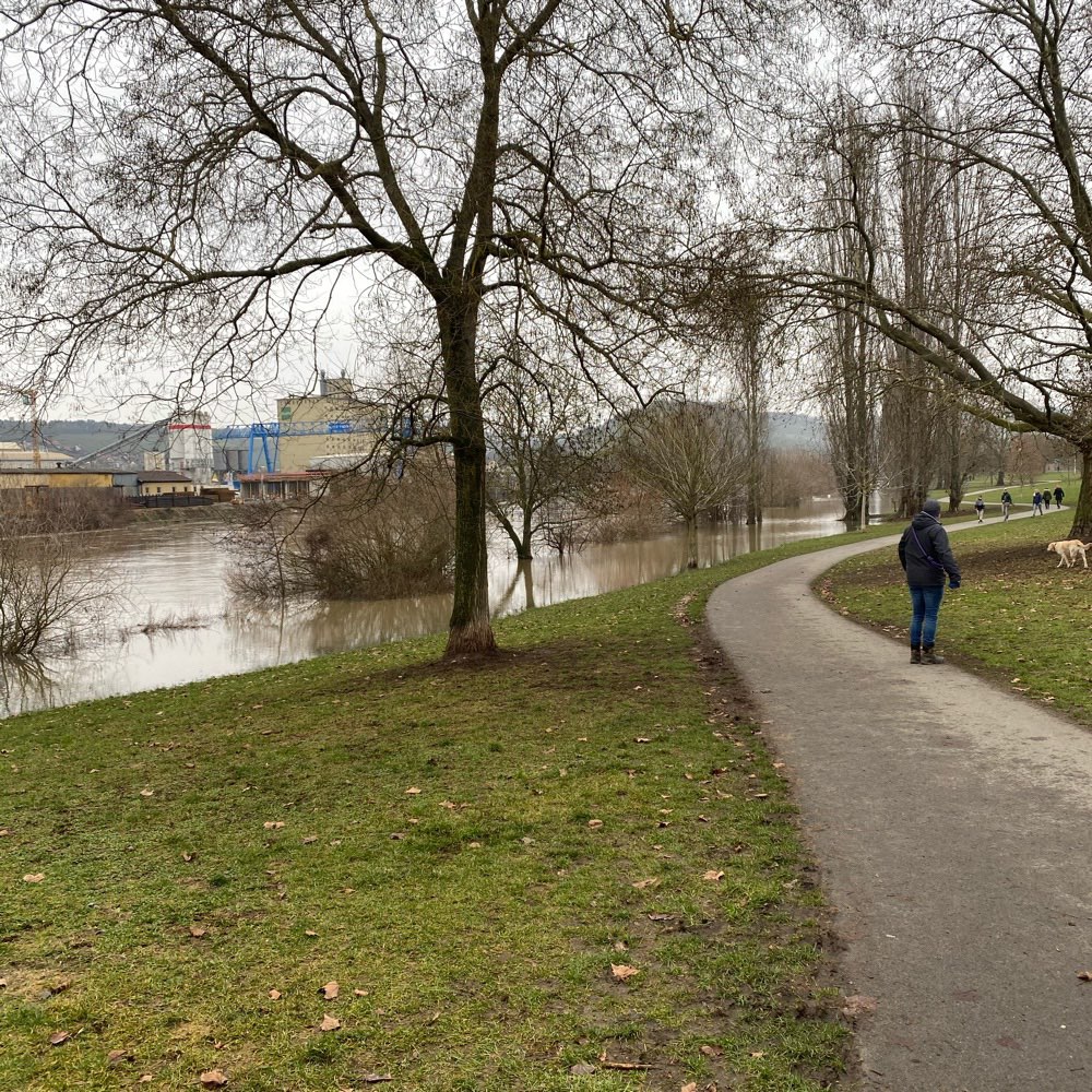Hundetreffen-Hundewiese Zellerau-Profilbild