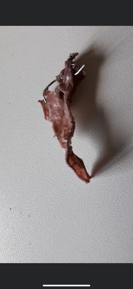 Giftköder-Fleisch mit Angelhaken-Profilbild