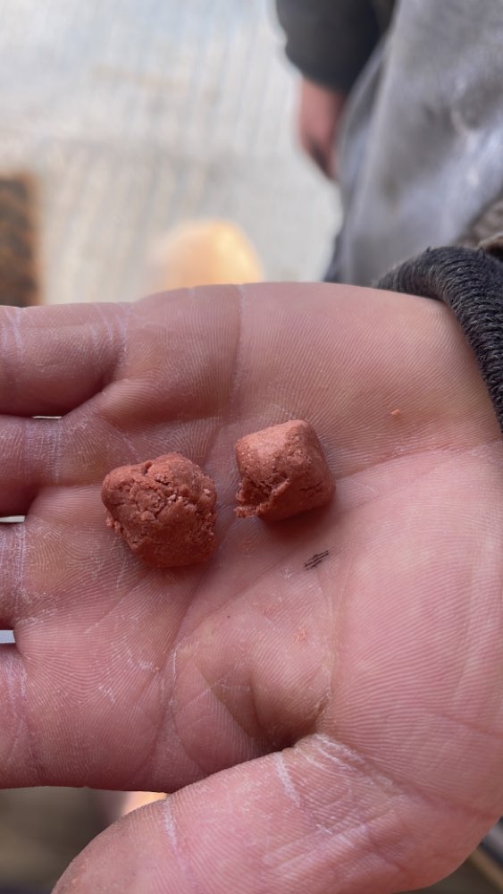 Giftköder-Giftköder Aichach OT Klingen-Profilbild