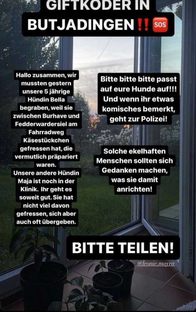 Giftköder-Giftköder-Profilbild