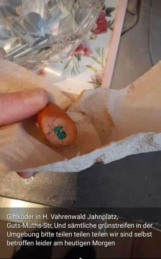 Giftköder-Giftköder-Profilbild