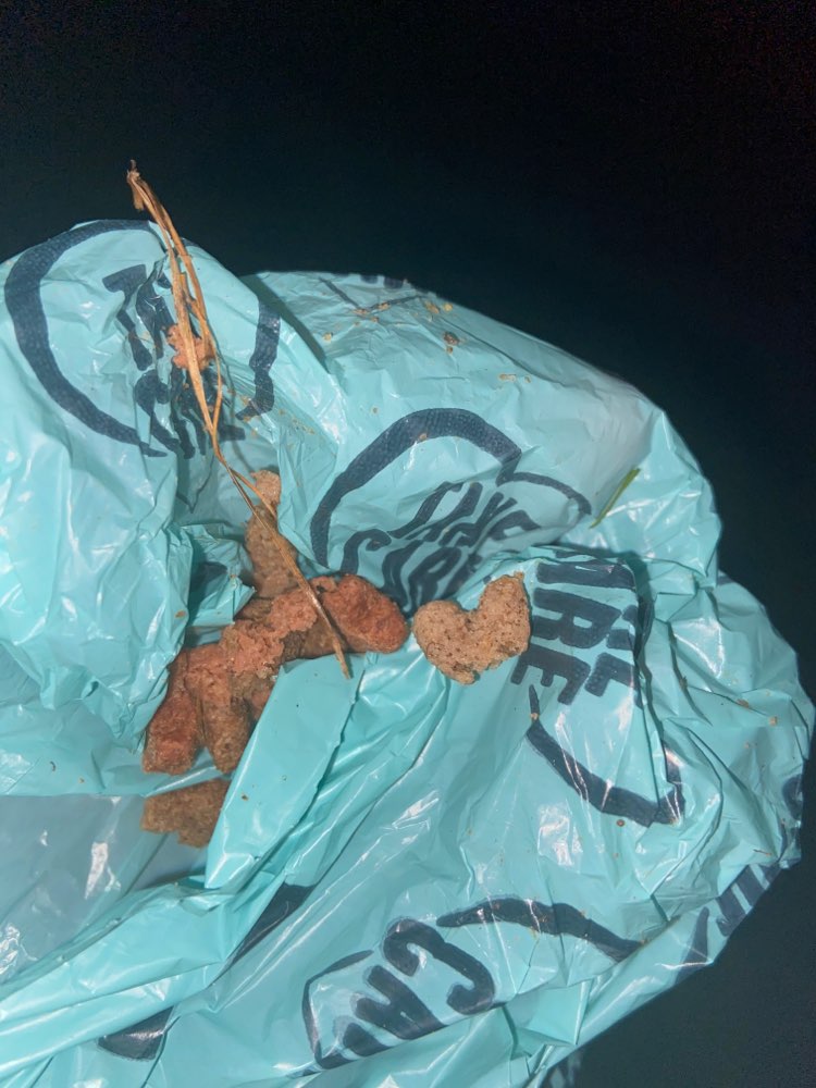 Giftköder-Trockenfutter in Gras versteckt-Profilbild