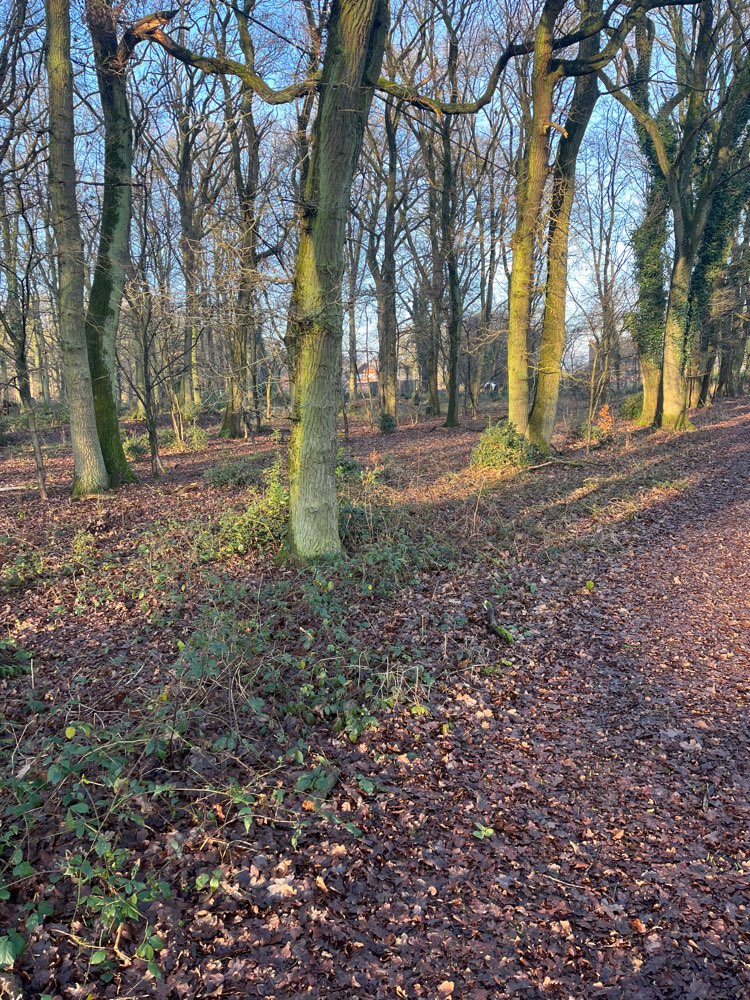 Giftköder-Futter mit Tacker Nadeln-Profilbild