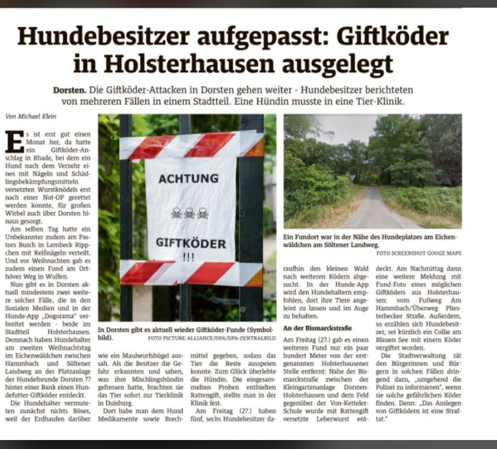 Giftköder-Giftköder-Profilbild