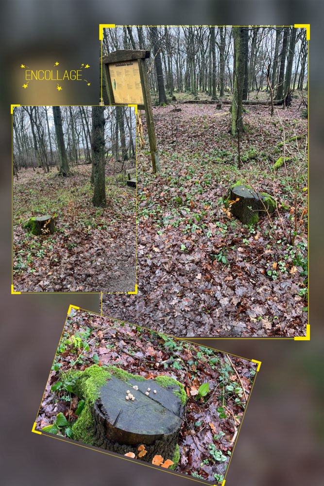 Giftköder-Einige Leckerchen-Profilbild