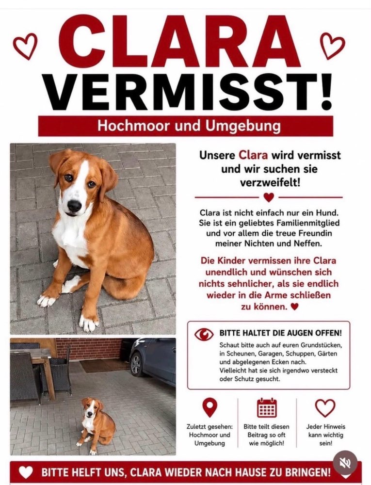 Suchmeldung-Clara-Profilbild