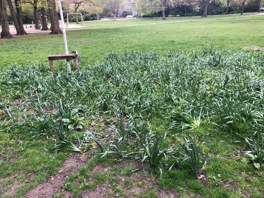 Giftköder-Dünger gestreut-Profilbild