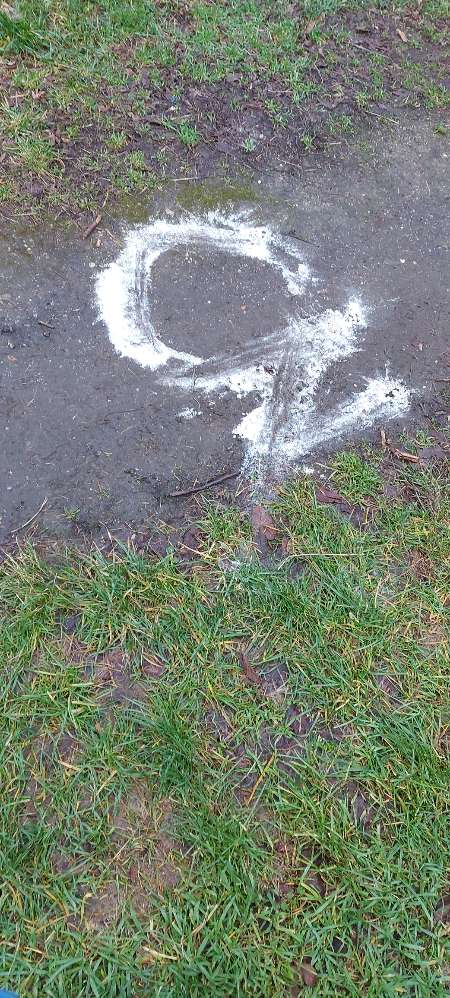 Giftköder-Weißes Pulver-Profilbild