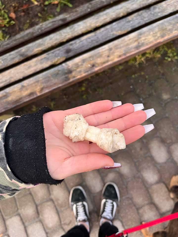 Giftköder-Chemisch riechende Kauknochen-Profilbild