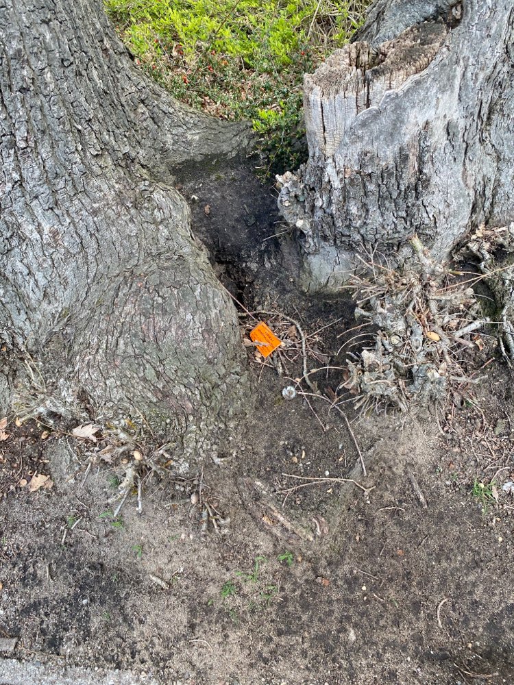 Giftköder-Rattengift-Profilbild