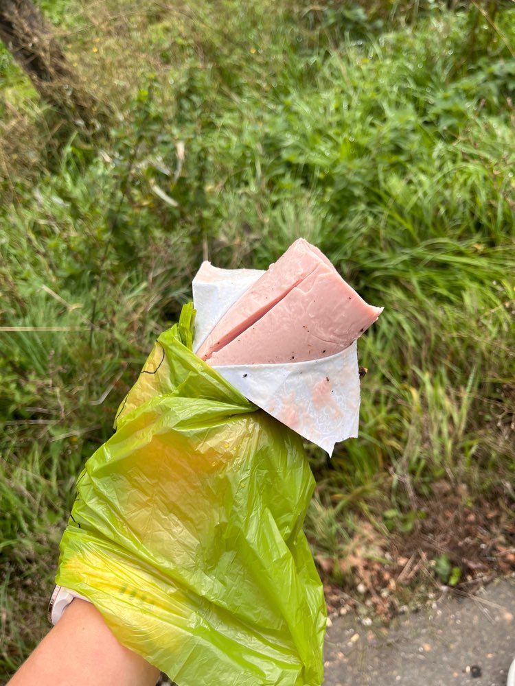 Giftköder-Möglicher Giftköder-Profilbild