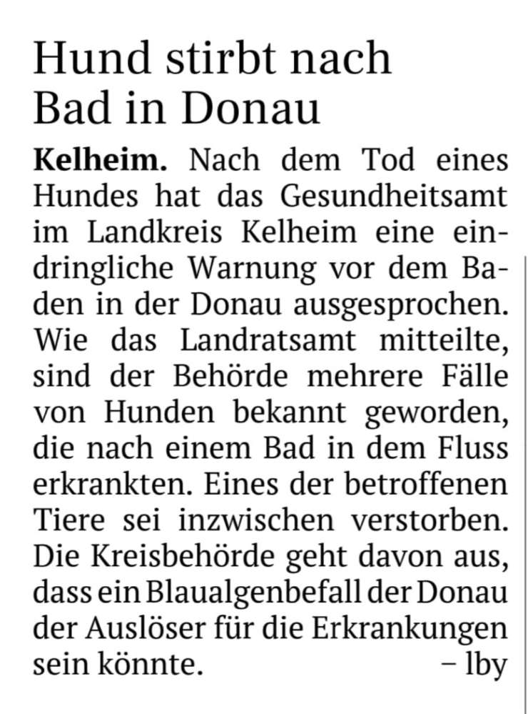 Giftköder-Blaualgen in der Donau-Profilbild
