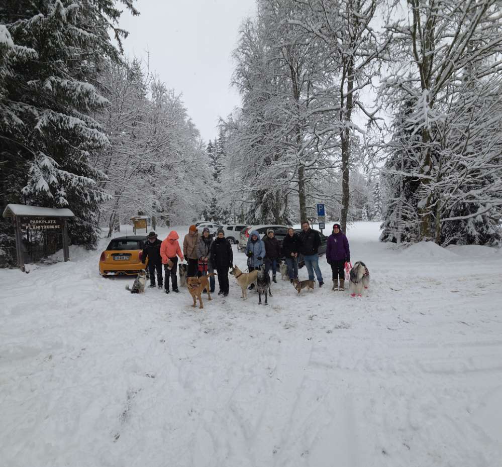 Hundetreffen-Kostenlose Hundewanderung-Profilbild