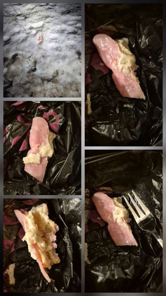 Giftköder-Erneuter potentieller Giftköderfund-Profilbild