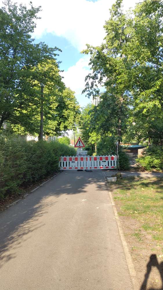 Giftköder-Eichenprozessionsspinner-Profilbild