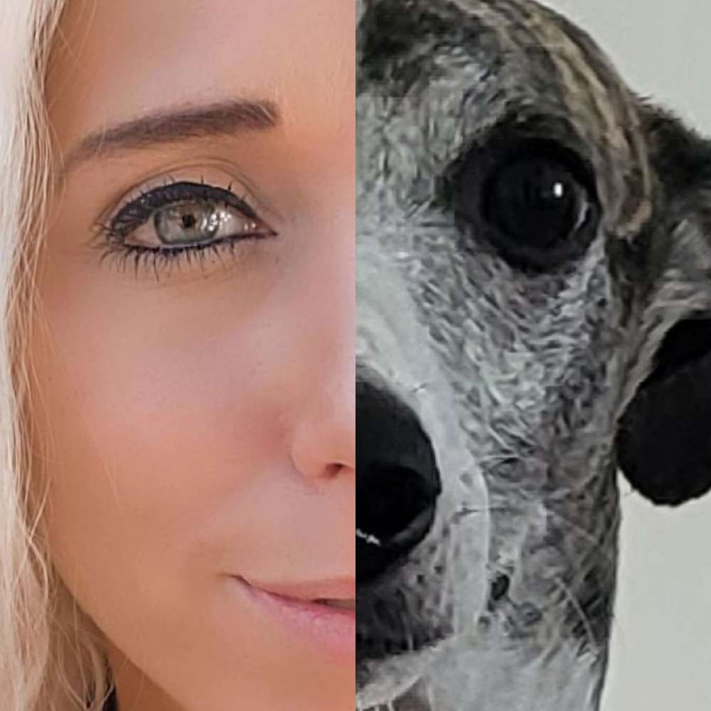 Hundetreffen-Spielkameraden und Rennkumpels für Gassi oder Wiesentreffen-Profilbild