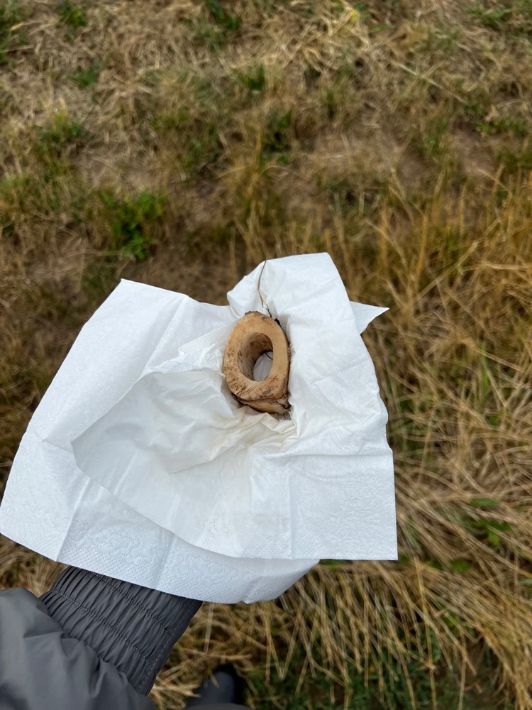 Giftköder-Giftköder (Markknochen)-Profilbild