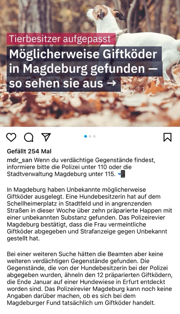 Giftköder-Mögliche Giftköder Entwarnung !-Profilbild