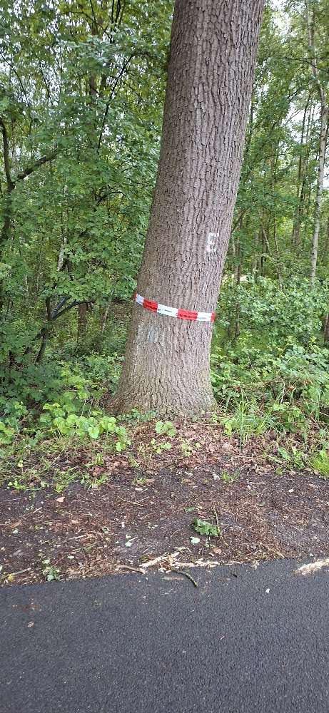 Giftköder-EPS am Rüschenweg-Profilbild
