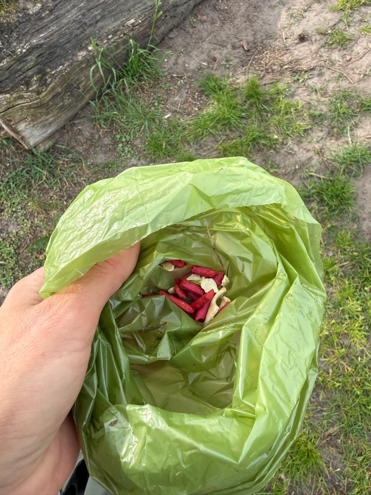 Giftköder-Möglicherweise Giftköder-Profilbild