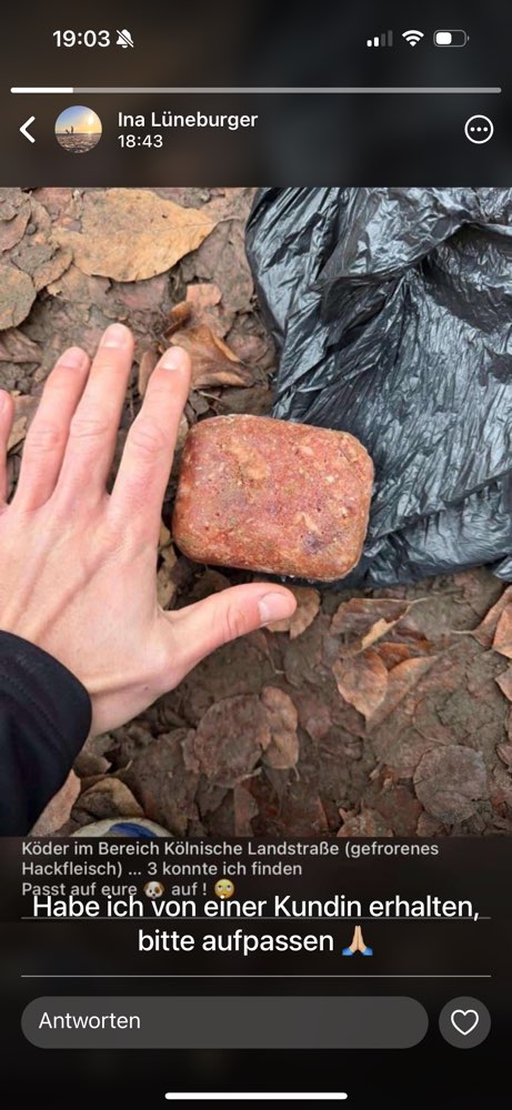 Giftköder-Gefrorenes Hackfleisch Giftköder-Profilbild