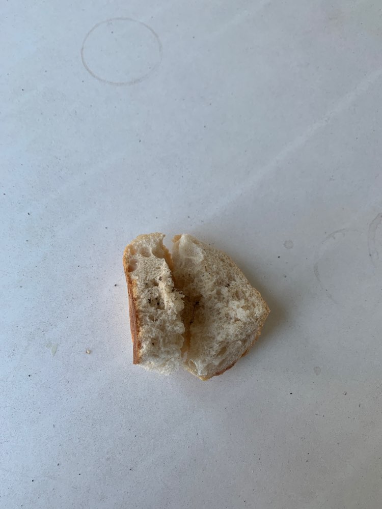 Giftköder-Giftköter-Profilbild