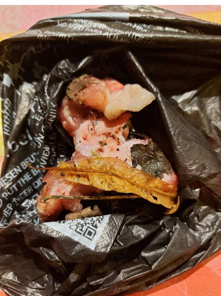 Giftköder-Fleischstücke am alten Bahnhof.-Profilbild