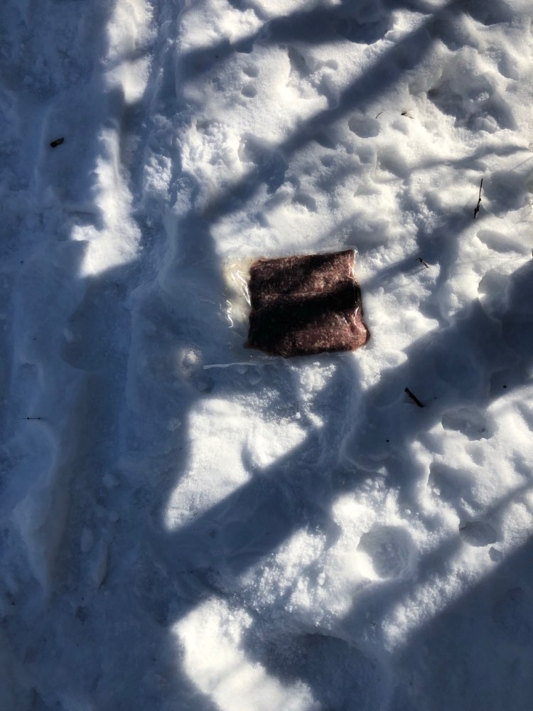 Giftköder-Verdächtiges Hackfleisch Paket-Profilbild