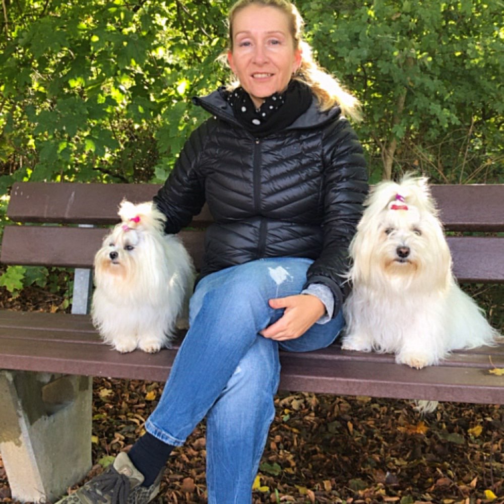 Hundetreffen-Gassibegleitung aus der Nähe gesucht!!-Profilbild