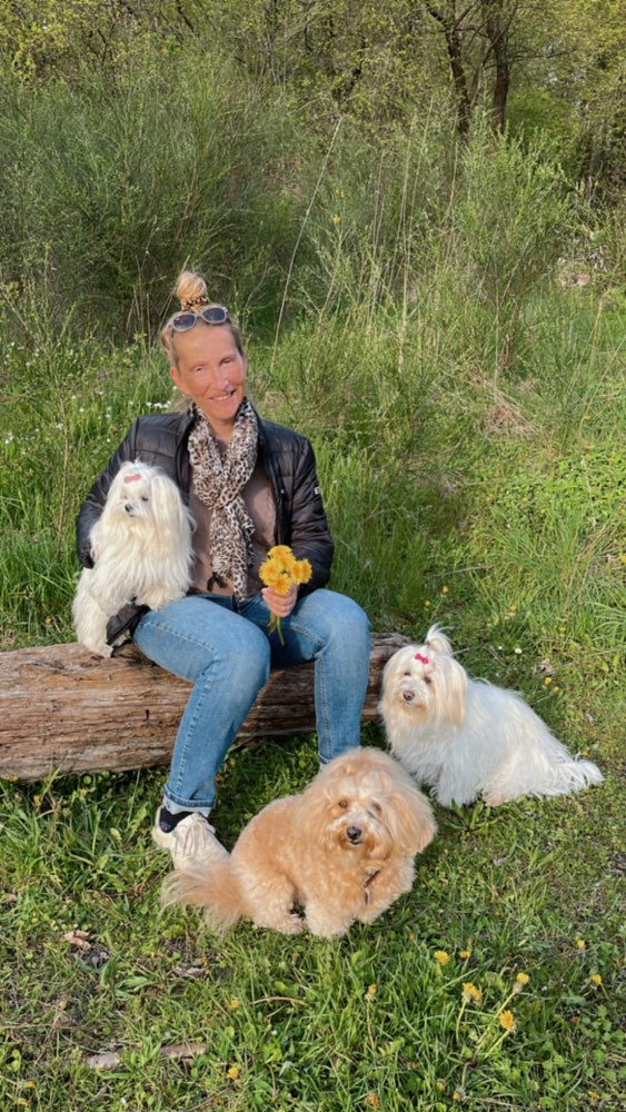 Hundetreffen-Kleinhundetreff Bad Camberg-Profilbild