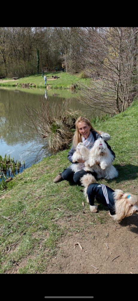 Hundetreffen-Kleinhundetreff mit Spaziergang-Profilbild