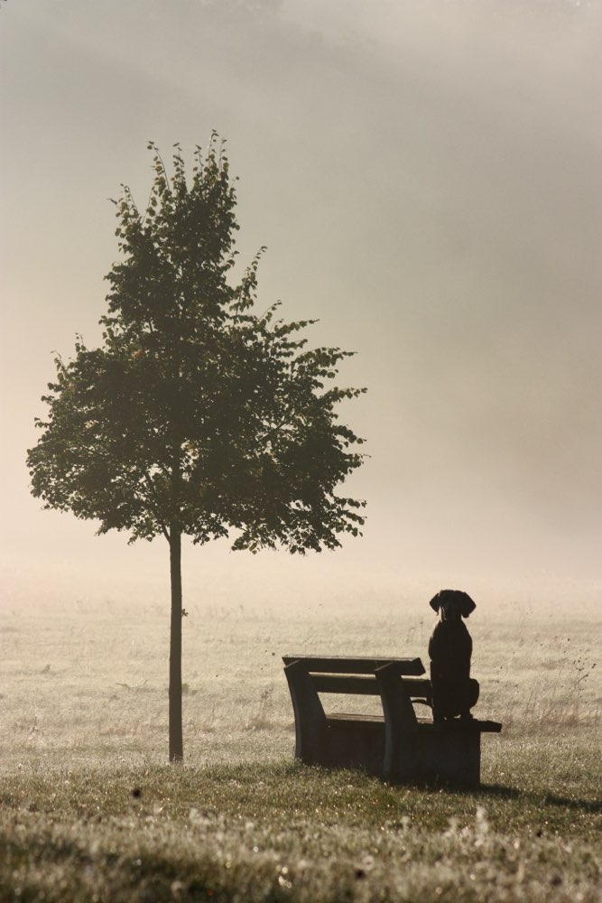 Schlecht-Wetter-Wettbewerb Banner