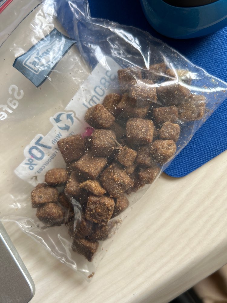 Giftköder-Vermeintlicher Giftköder-Profilbild