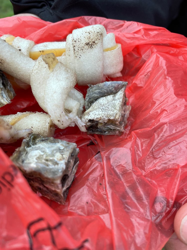 Giftköder-Futter ausgelegt!!-Profilbild