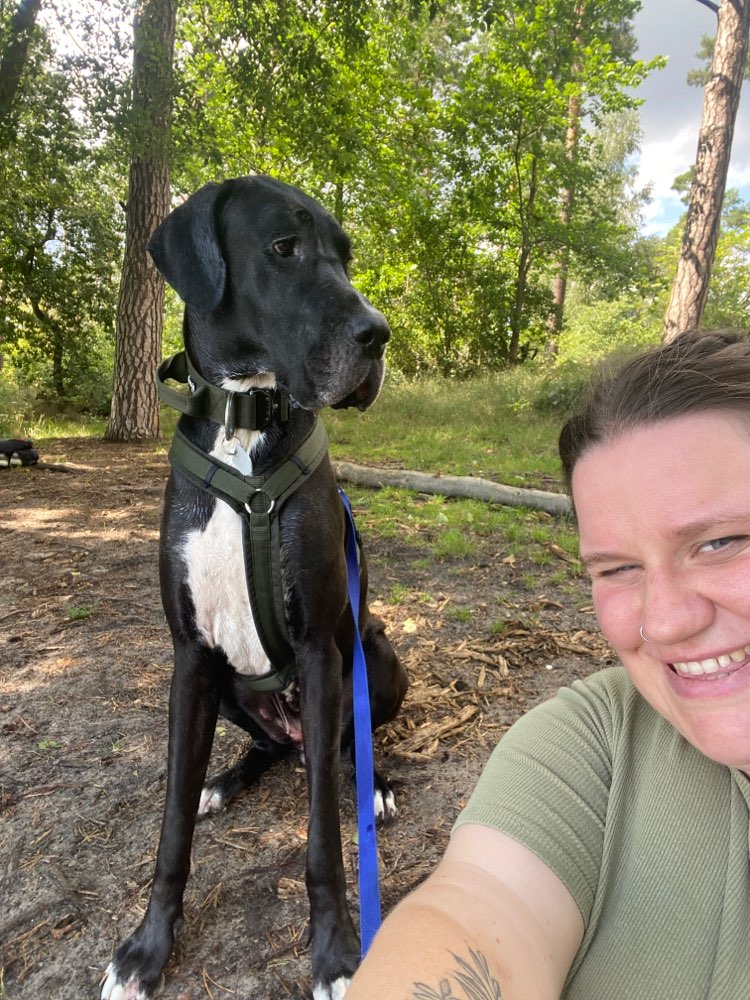 Hundetreffen-Social Walk/ ruhige Hundebegegnung an der Leine-Profilbild