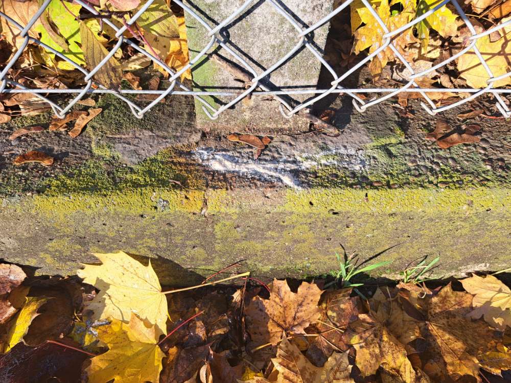 Giftköder-Weiße Streifen verteilt-Profilbild