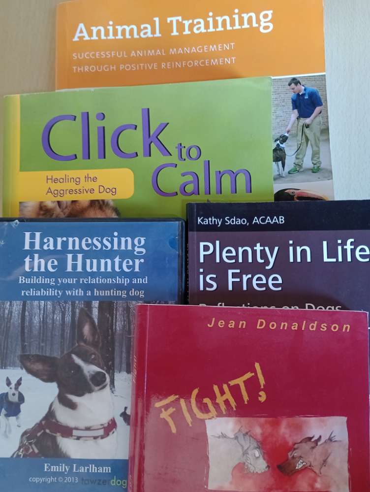 Hundetreffen-Positives Training-Profilbild