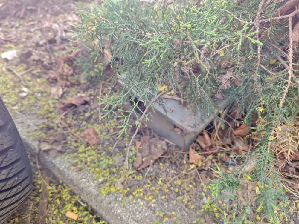 Giftköder-Giftköderbox Rattengift-Profilbild