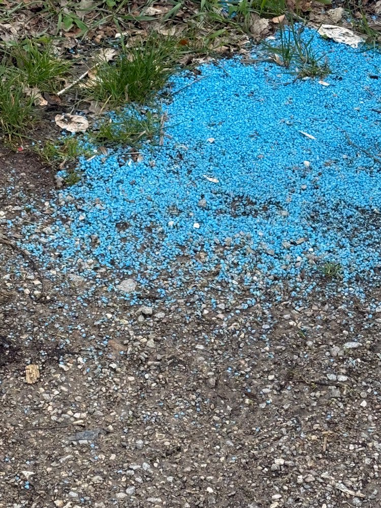 Giftköder-Blaue Kügelchen auf dem Boden-Profilbild