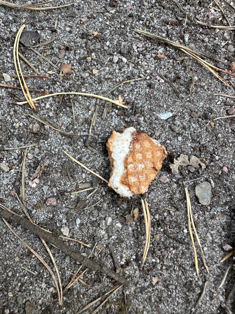 Giftköder-Giftköder Waffeln !!!-Profilbild