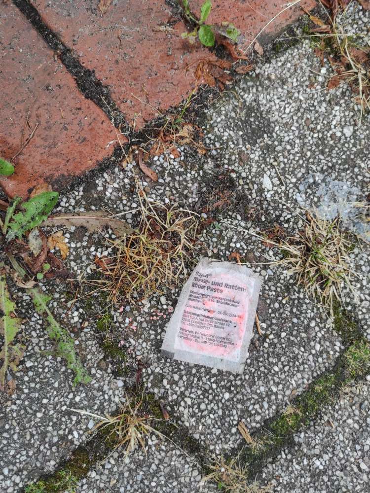 Giftköder-Rattengift Tungeln Wardenburg Dorfwinkel-Profilbild