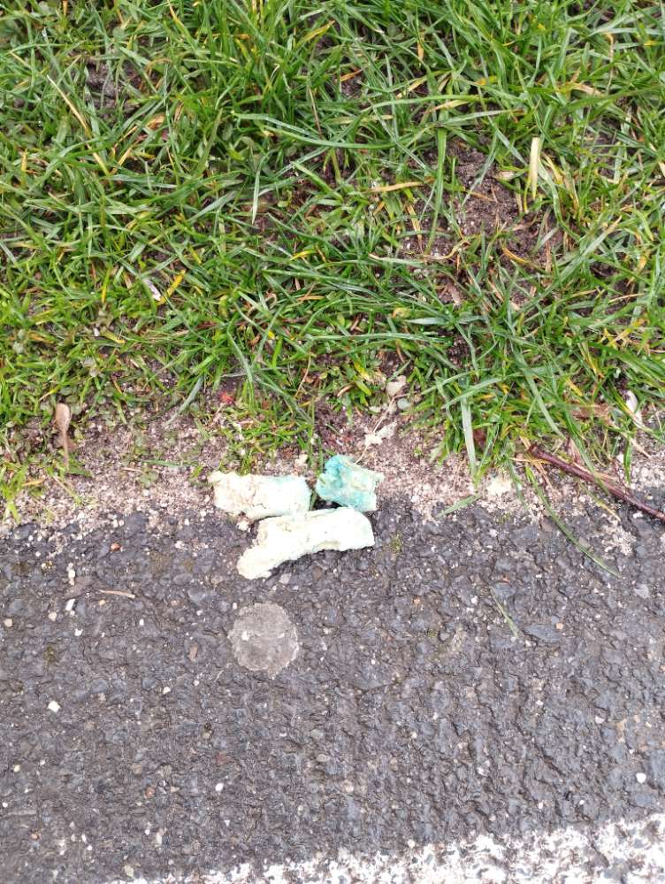 Giftköder-Gifköder-Profilbild