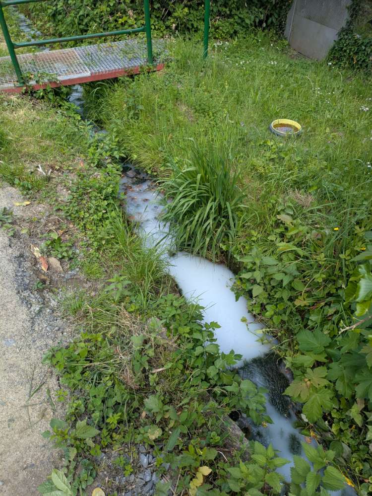 Giftköder-Verunreinigtes Wasser-Profilbild